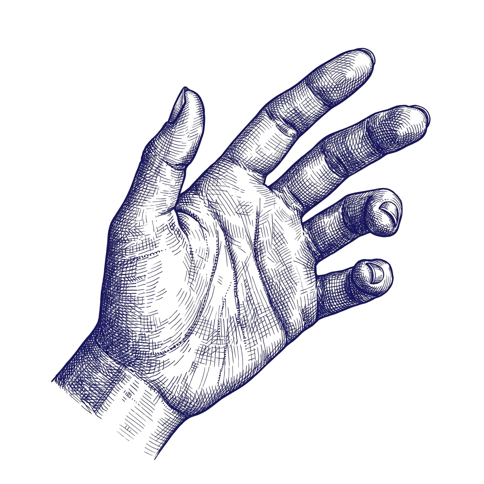 Blue ink anatomical drawing of an open hand.